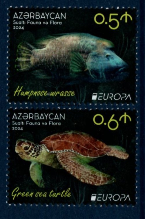 (image for) 2024 Azerbaijan