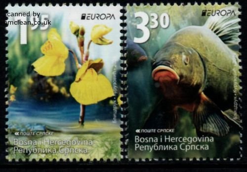 (image for) 2024 Bosnia Herzegovina - Serbia