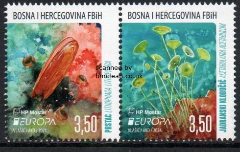 (image for) 2024 Bosnia Herzegovina - Croatia