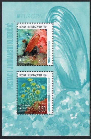 (image for) 2024 Bosnia Herzegovina - Croatia (M/S)
