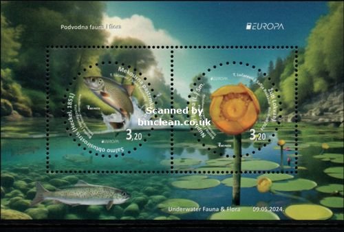 (image for) 2024 Bosnia Herzegovina (M/S)