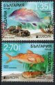 (image for) 2024 Bulgaria