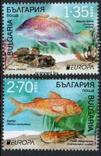 (image for) 2024 Bulgaria