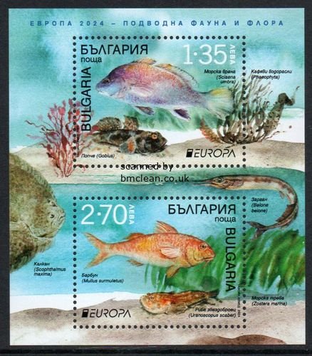 (image for) 2024 Bulgaria (M/S)