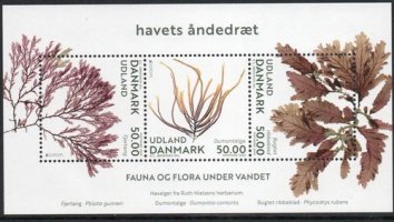 (image for) 2024 Denmark (M/S)