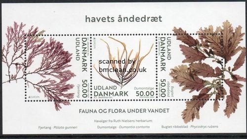 (image for) 2024 Denmark (M/S)