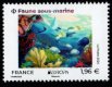 (image for) 2024 France
