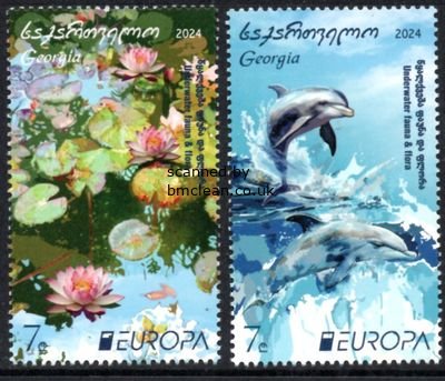 (image for) 2024 Georgia