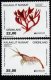 (image for) 2024 Greenland