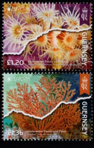 (image for) 2024 Guernsey