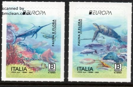 (image for) 2024 Italy