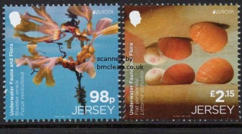 (image for) 2024 Jersey