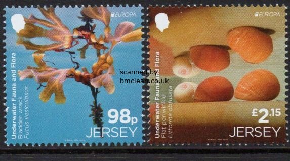 (image for) 2024 Jersey