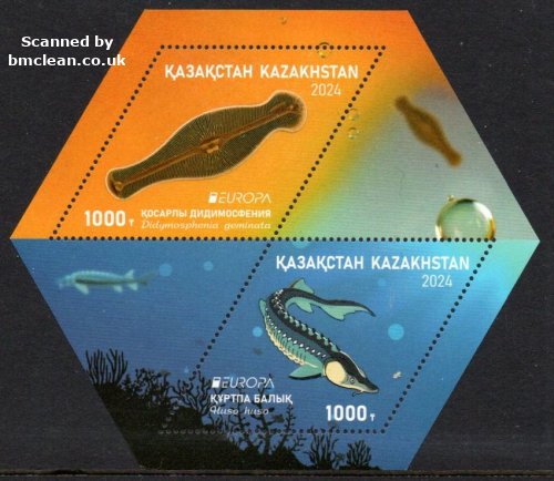 (image for) 2024 Kazakistan (M/S)