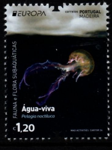 (image for) 2024 Madeira