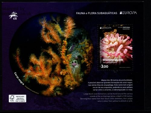(image for) 2024 Madeira (M/S)
