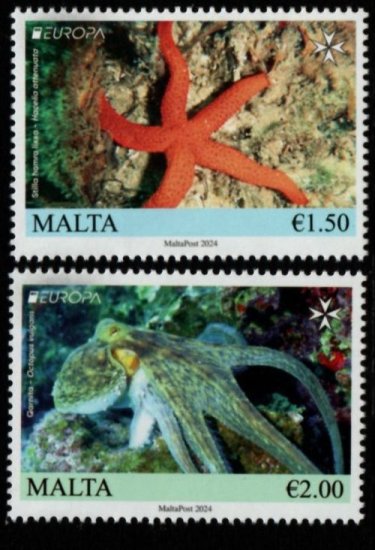 (image for) 2024 Malta