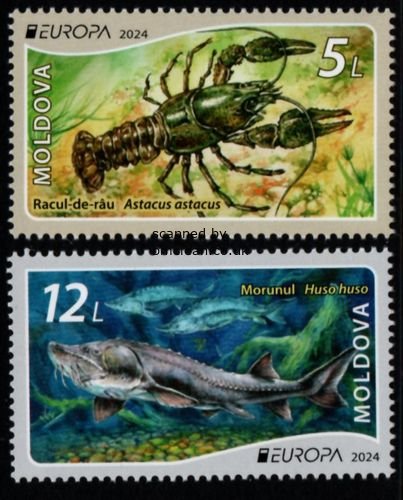 (image for) 2024 Moldova