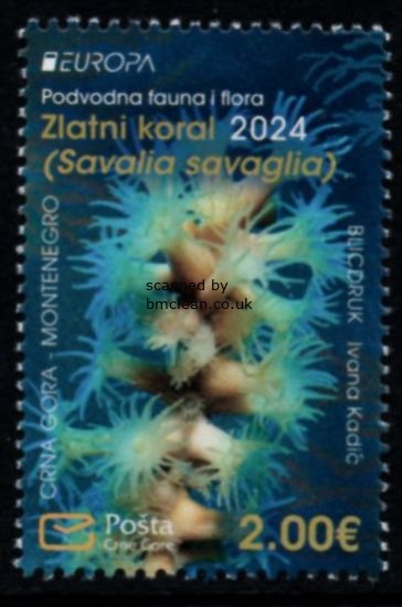 (image for) 2024 Montenegro