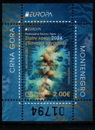 (image for) 2024 Montenegro (M/S)