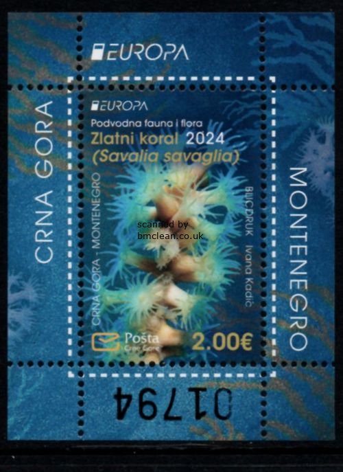 (image for) 2024 Montenegro (M/S)