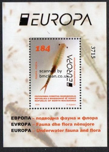 (image for) 2024 North Macedonia (M/S)