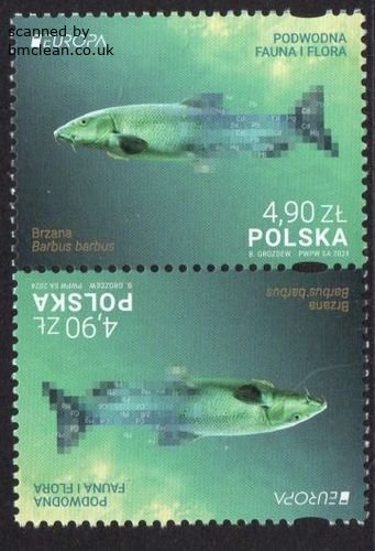 (image for) 2024 Poland (Pair)