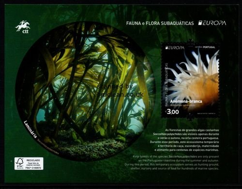 (image for) 2024 Portugal (M/S)