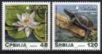 (image for) 2024 Serbia