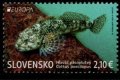 (image for) 2024 Slovakia