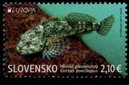 (image for) 2024 Slovakia