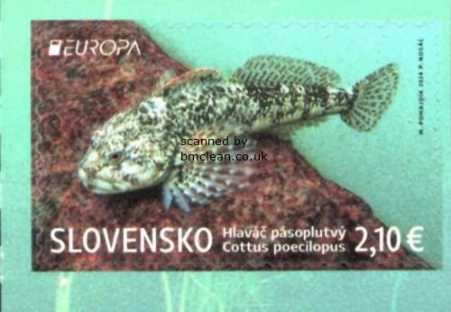 (image for) 2024 Slovakia (S/A)