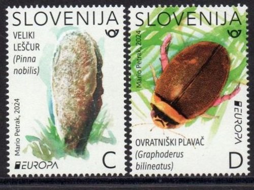 (image for) 2024 Slovenia