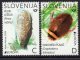 (image for) 2024 Slovenia