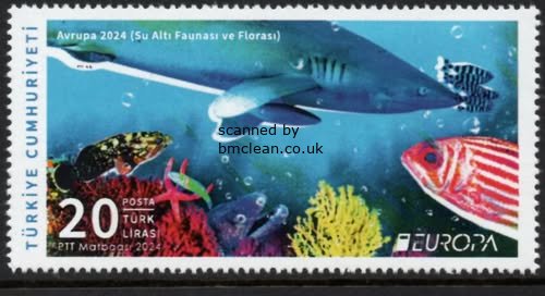 (image for) 2024 Turkey