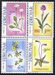 (image for) 1988 Flowers