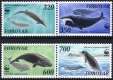 (image for) 1990 WWF Whales