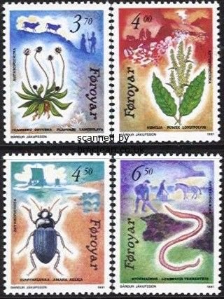 (image for) 1991 Anthropochora