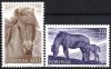 (image for) 1993 Horses