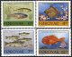(image for) 1994 Fishes