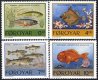 (image for) 1994 Fishes