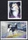 (image for) 1994 Sheepdogs