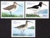 (image for) 1977 Birds