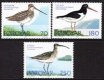 (image for) 1977 Birds