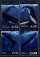 (image for) 2001 Whales