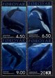 (image for) 2001 Whales