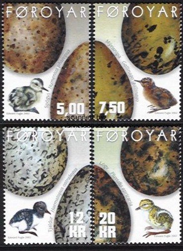 (image for) 2002 Birds Eggs