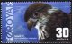 (image for) 2002 Merlin