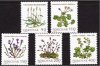 (image for) 1980 Flowers