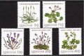 1980 Flowers (image for) 1980 Flowers